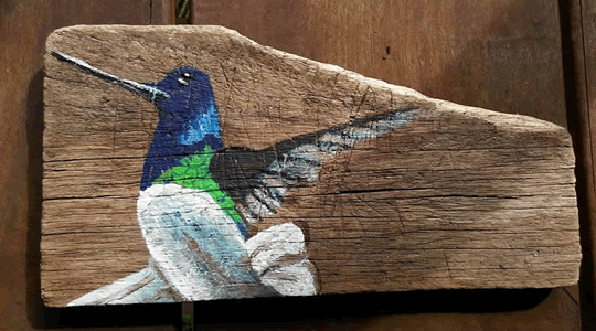 Hummingbird  painting on driftwood - Island Art by Yotigo
